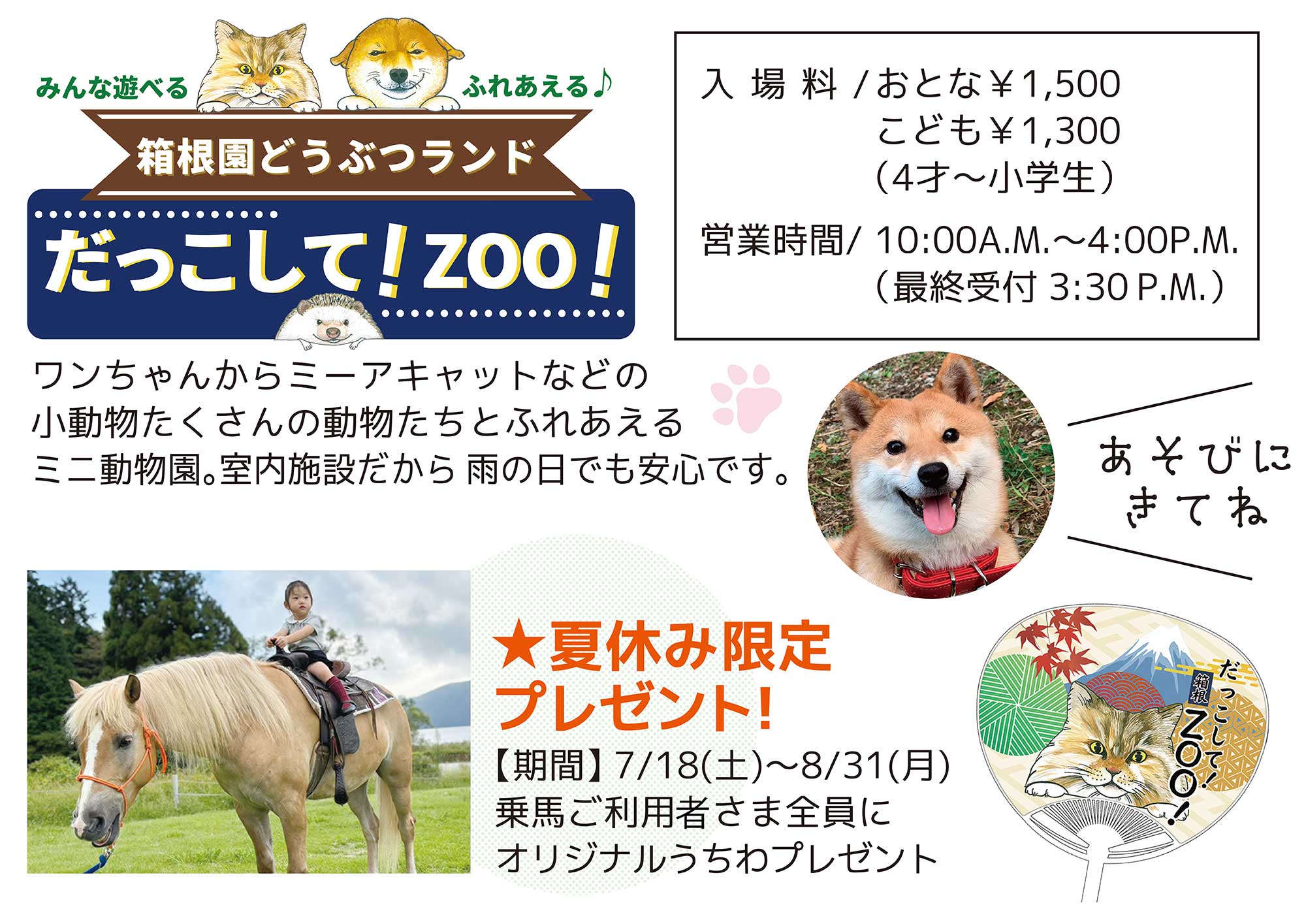箱根園サマーナイトフェスタ