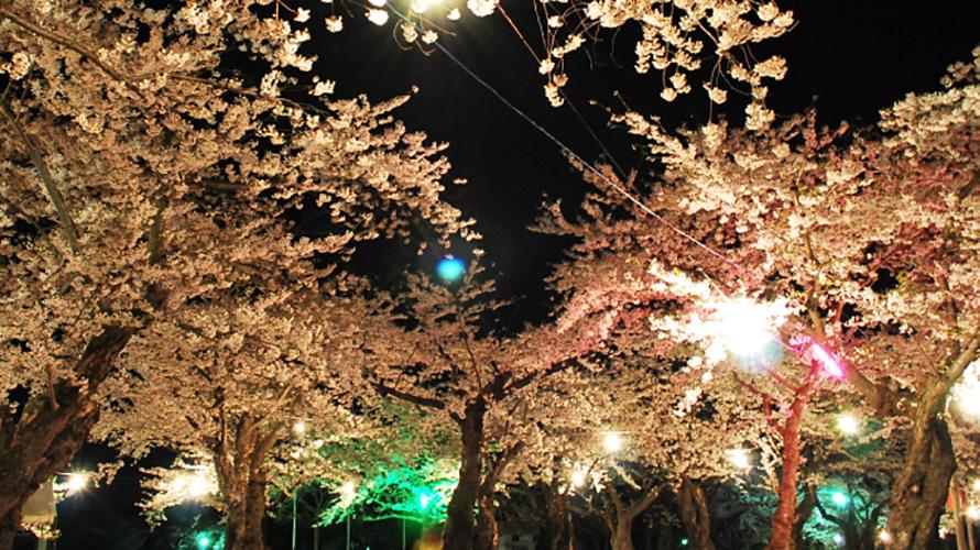 青葉ヶ丘公園
