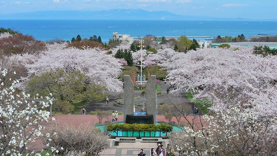 オニウシ公園