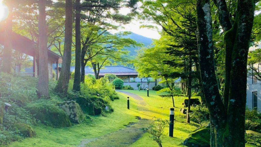 広大な自然: 山々に囲まれた立地が「秘境宿」であることを一目で示し、都会の喧騒から完全に離れた場所