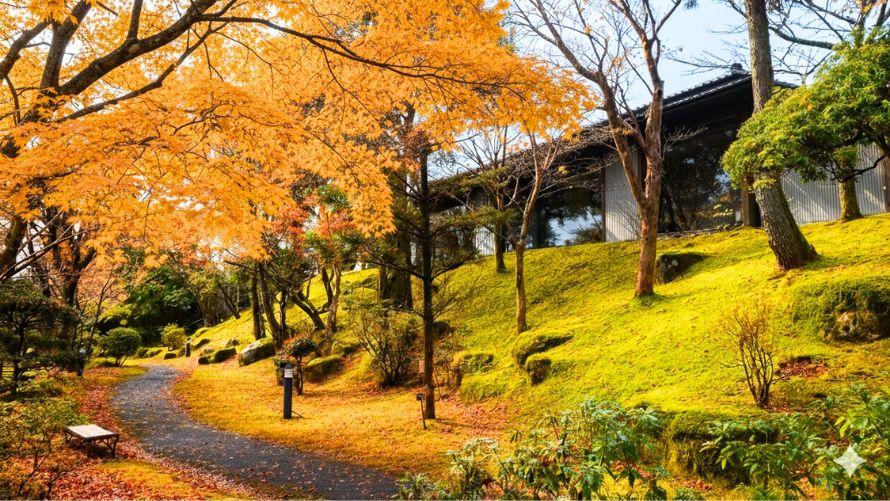 紅葉の中庭