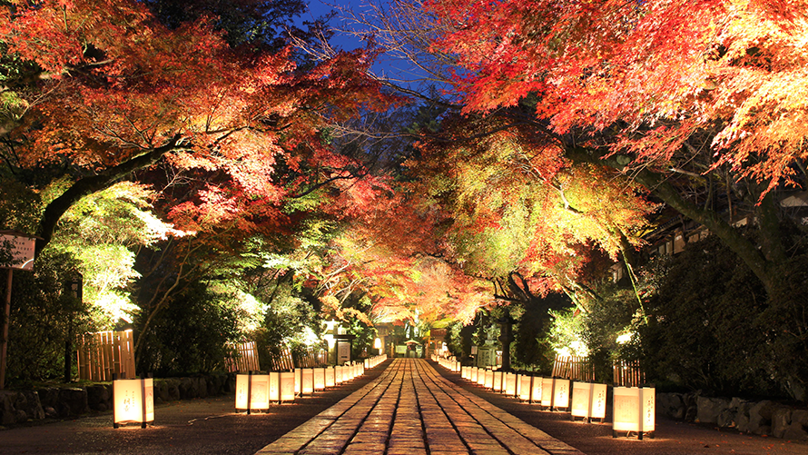 石山寺「あたら夜もみじ」