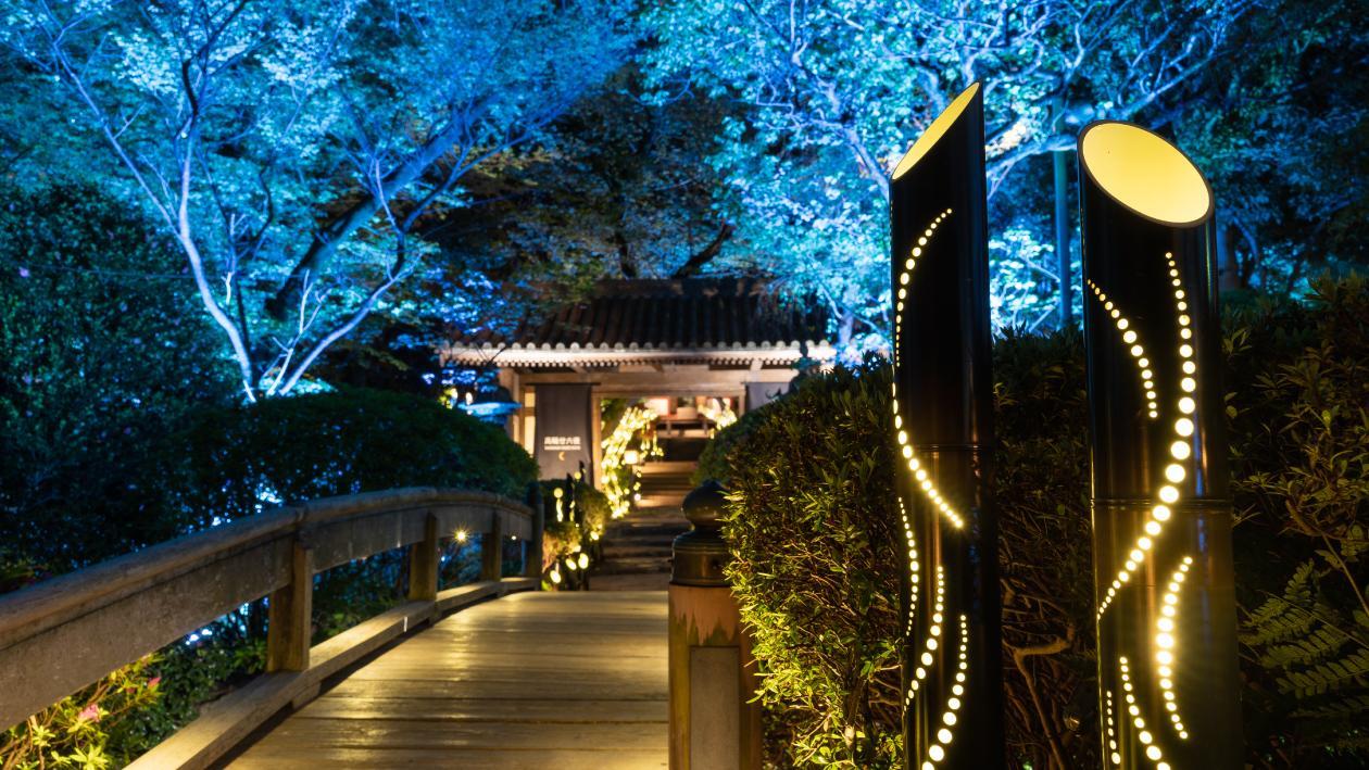 夜の日本庭園に灯る竹あかり。