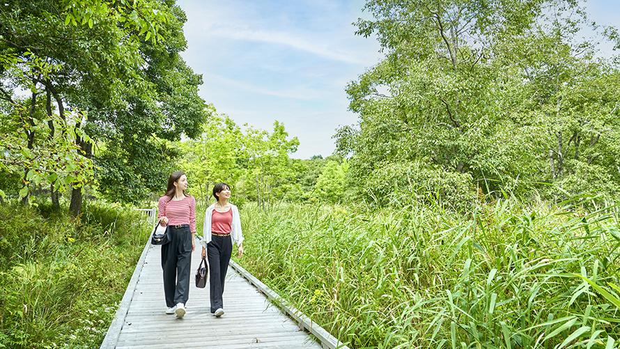 涼しい釧路で快適滞在！連泊ECOプラン