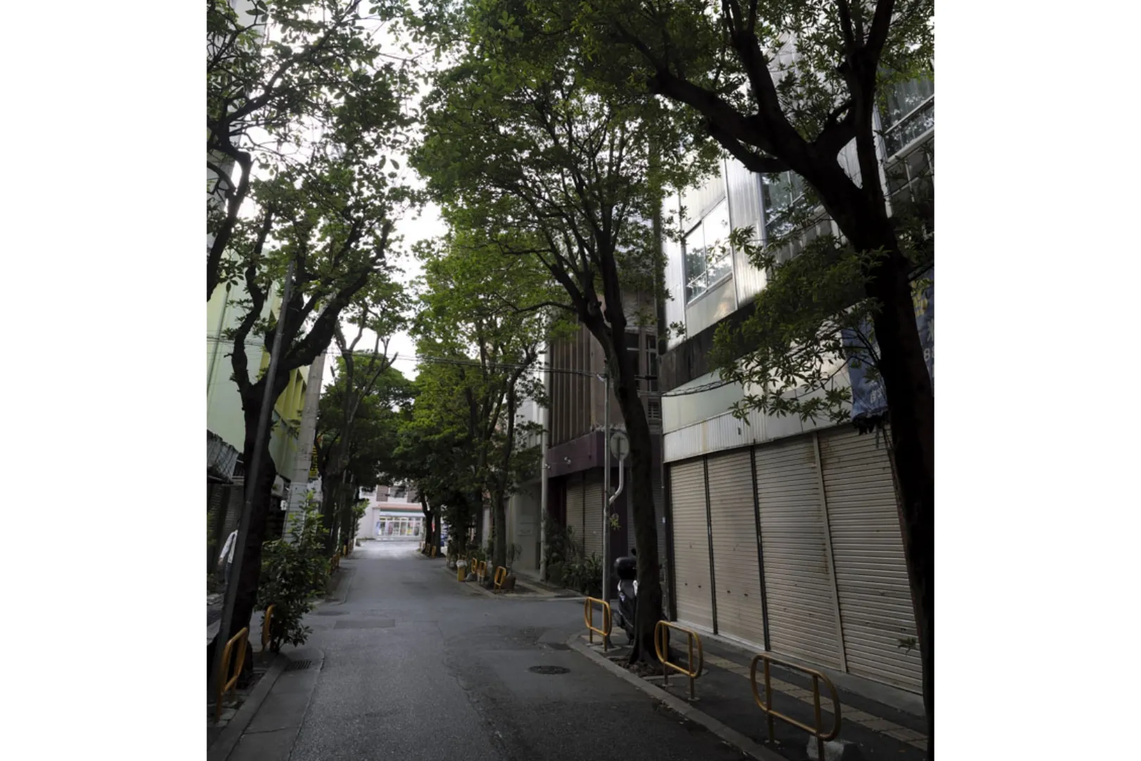浮島通り