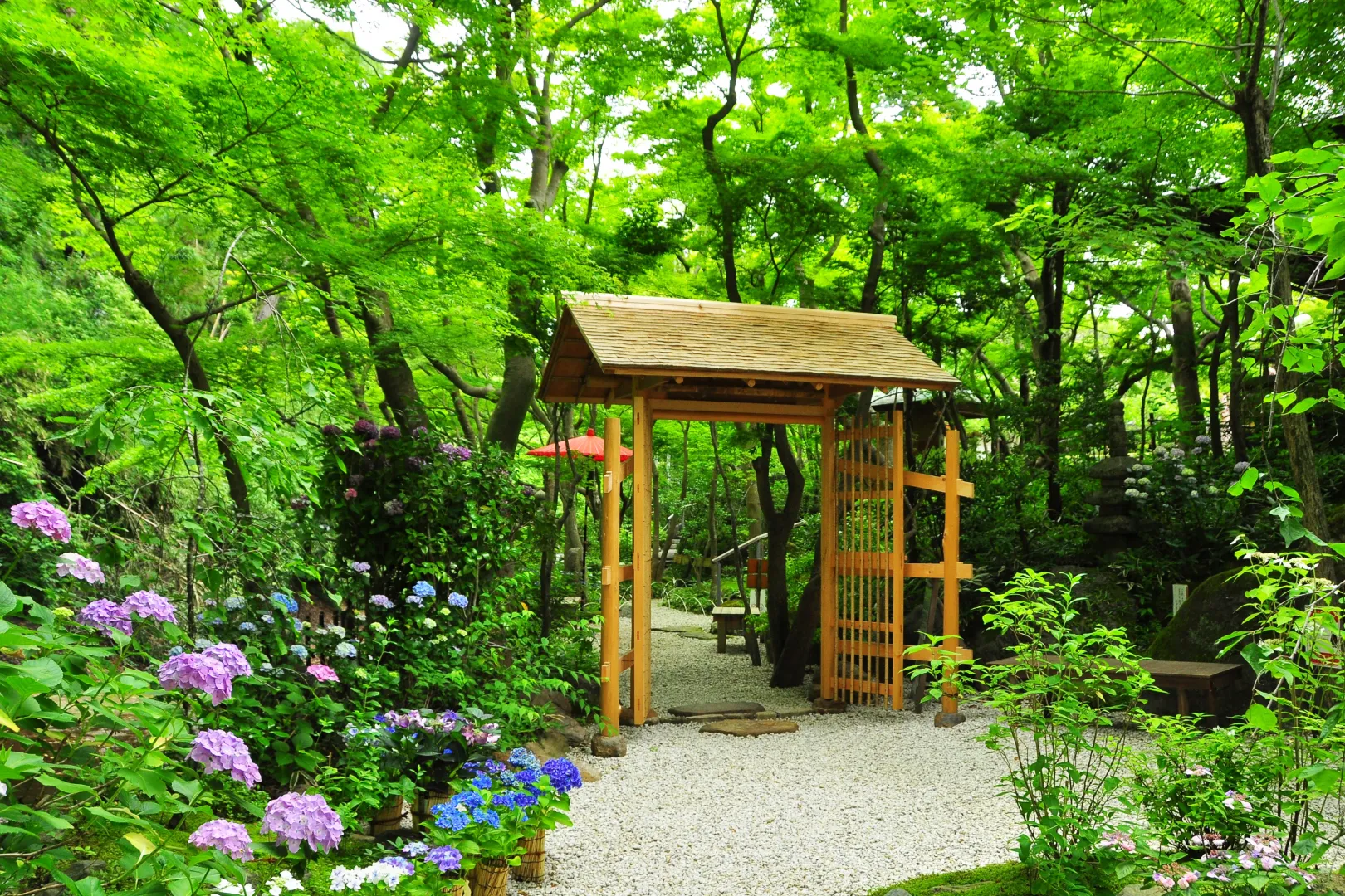 PIXTAより「一条恵観山荘庭園散策路の新緑とあじさい」