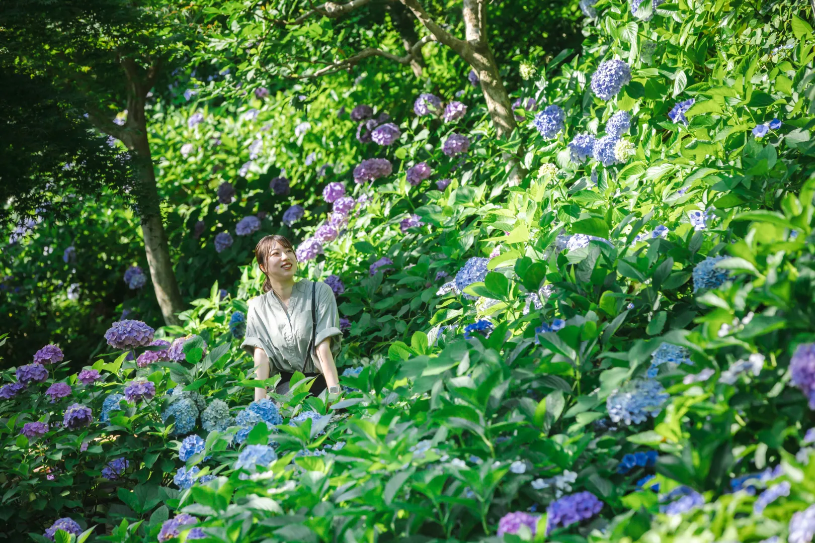 長谷寺