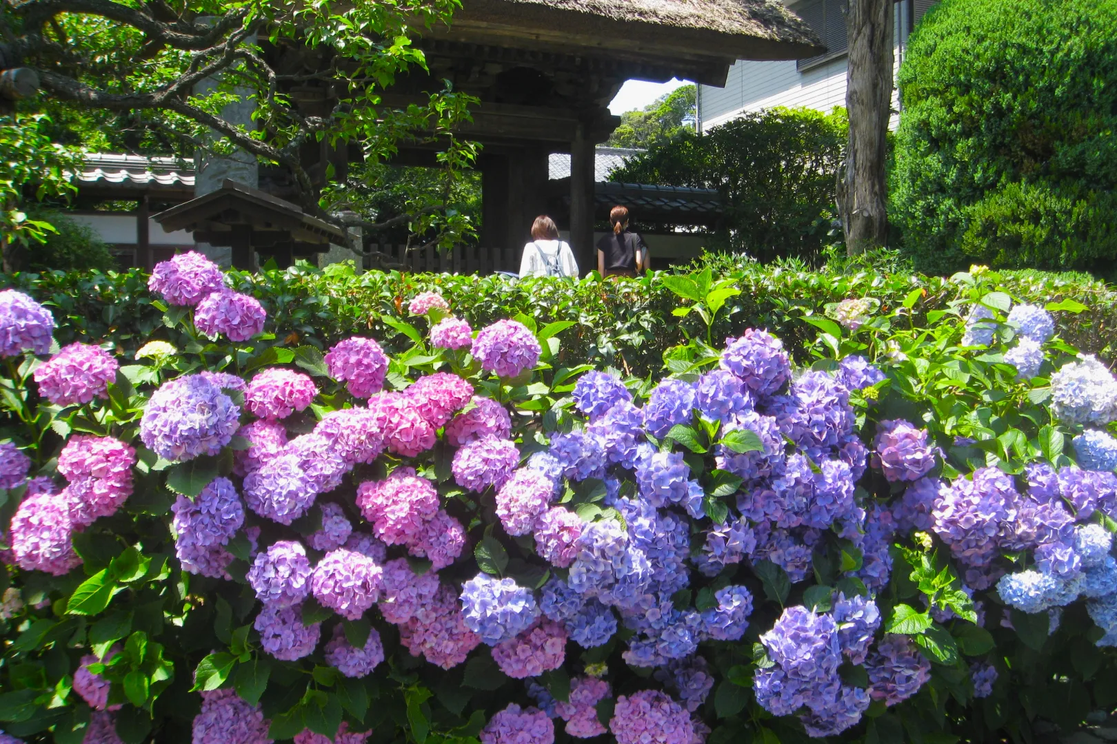 極楽寺