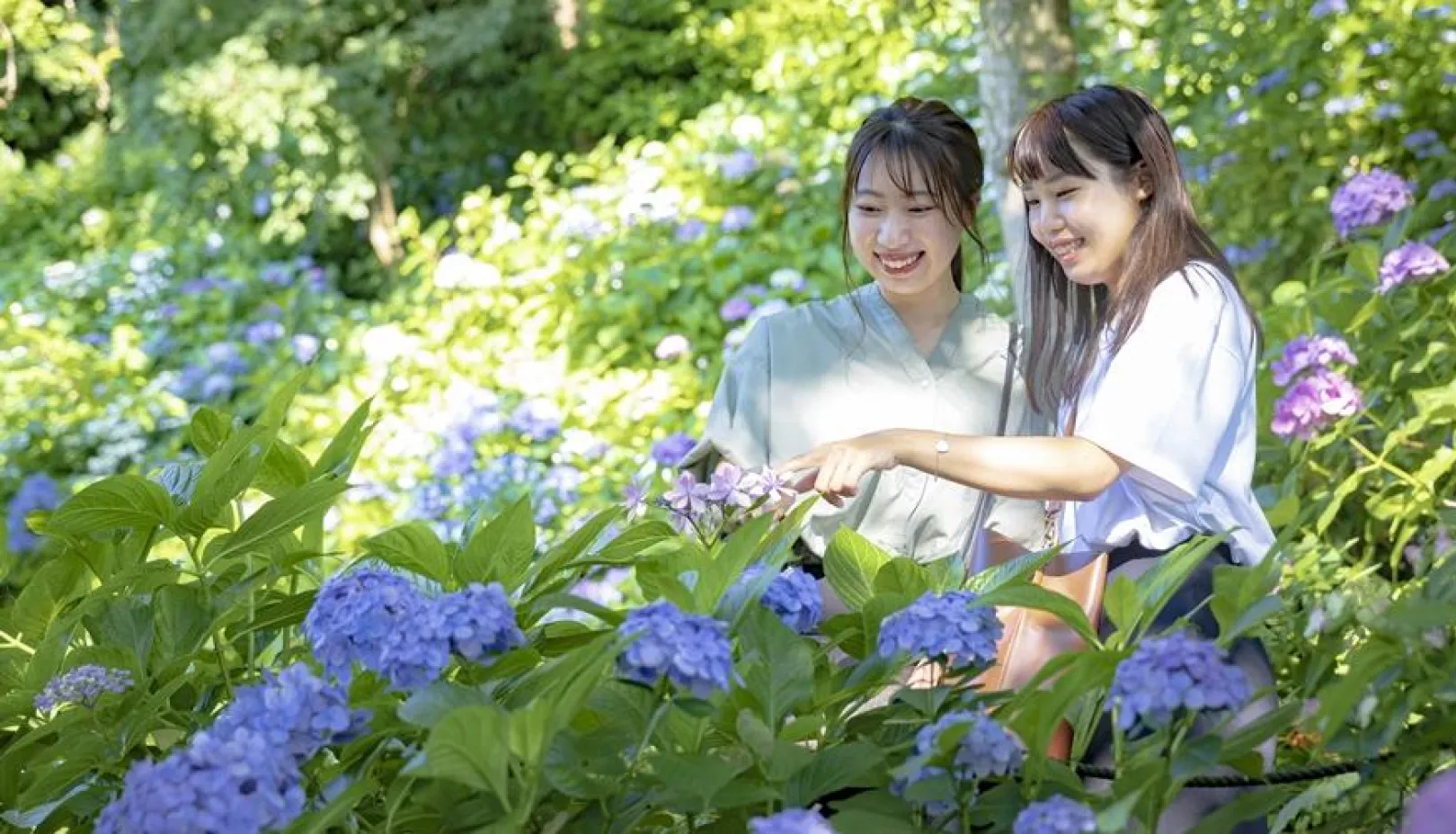 長谷寺拝観券＆あじさい路入場券付き　ステイプラン