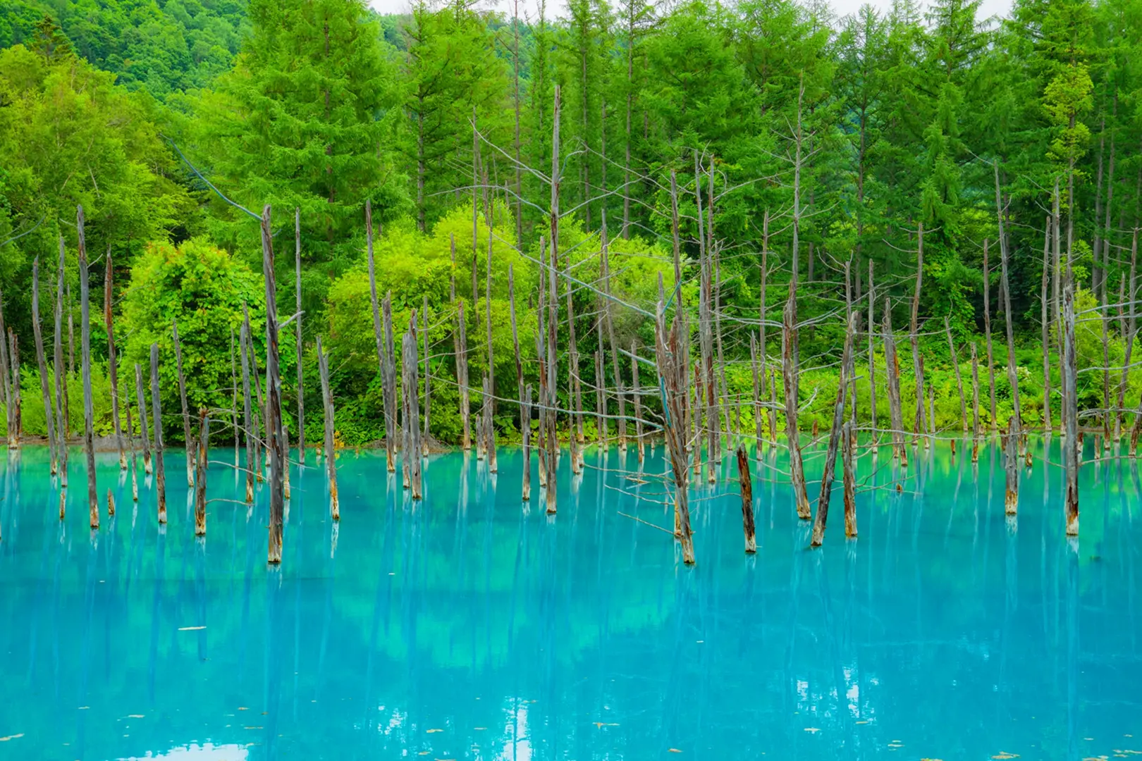 青い池