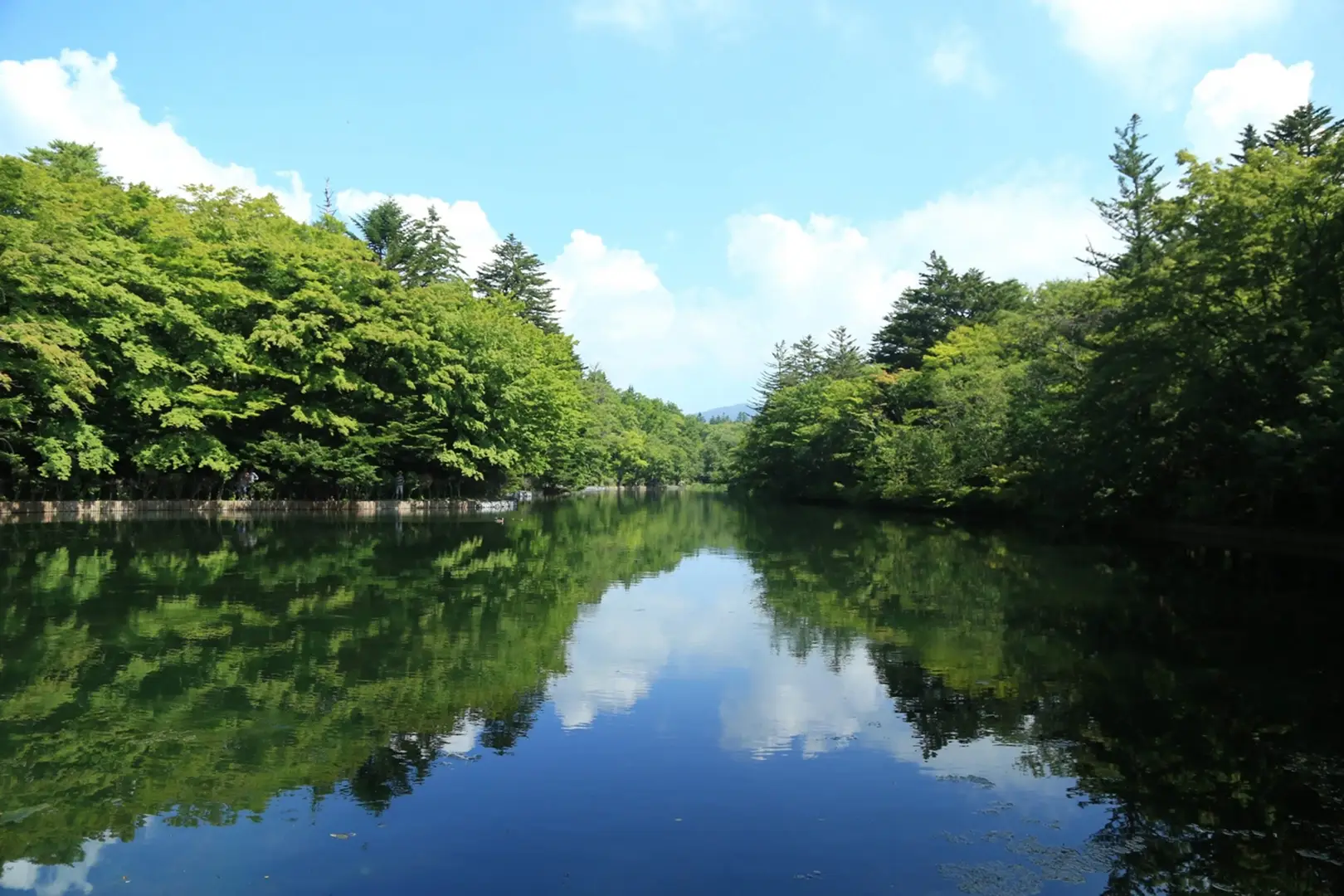 都心から離れており、人口の光が少ない