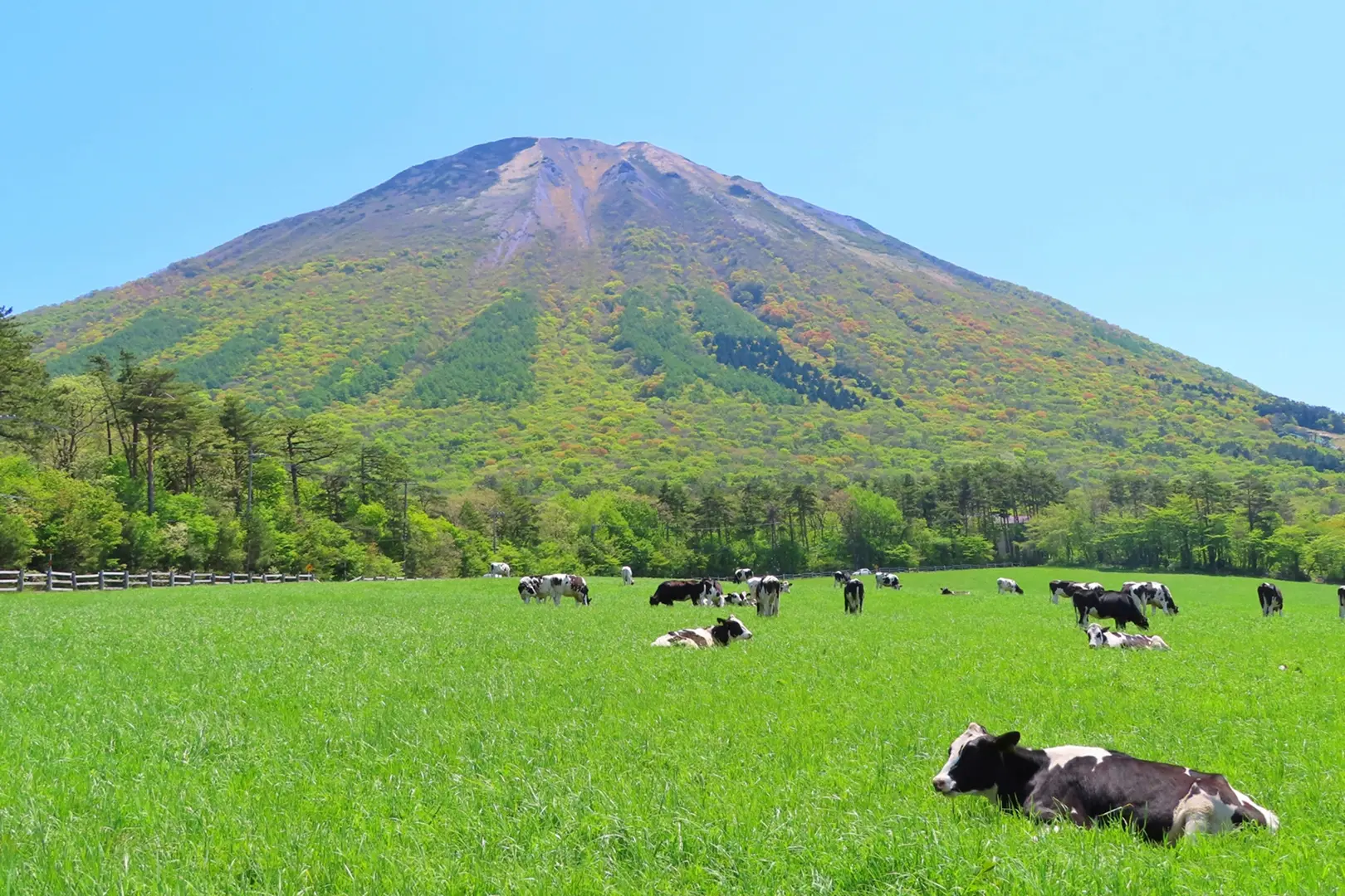 大山(鳥取県)