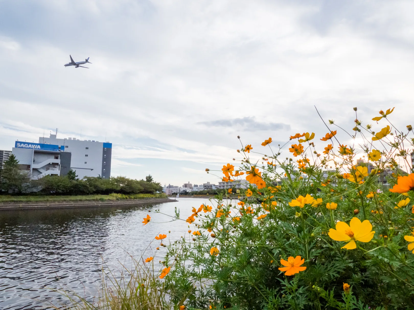 【東京】しながわ花海道