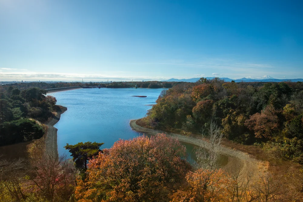 中国割烹旅館 掬水亭公式Webサイトより「多摩湖の風景」
