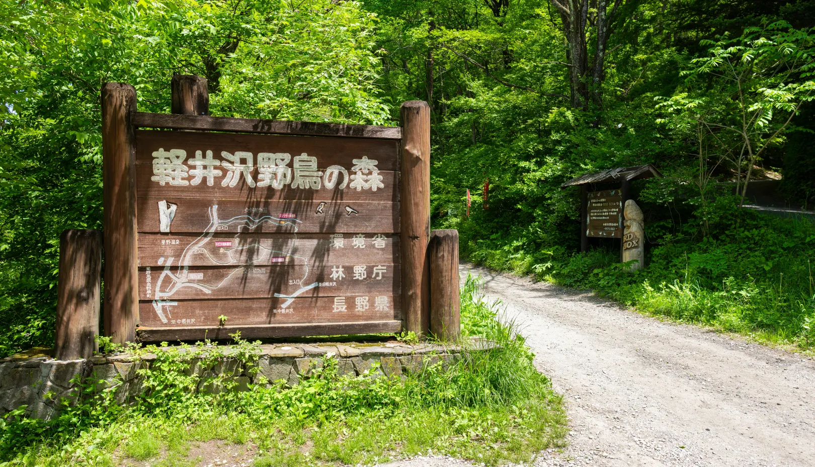 PIXTAより「軽井沢野鳥の森の遊歩道入口」