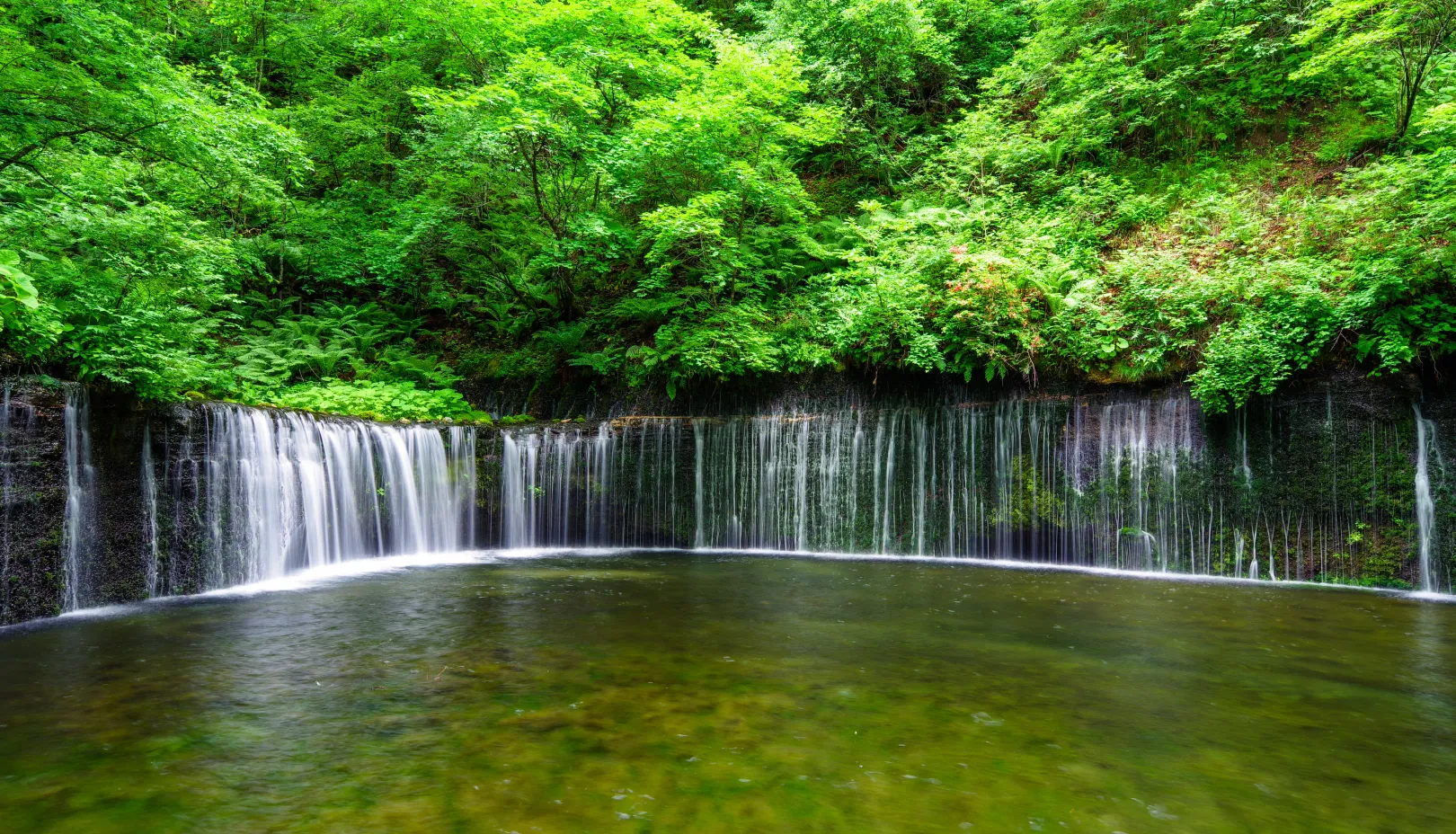 PIXTAより「無数の地下水が白い糸のように流れ落ちる白糸の滝」