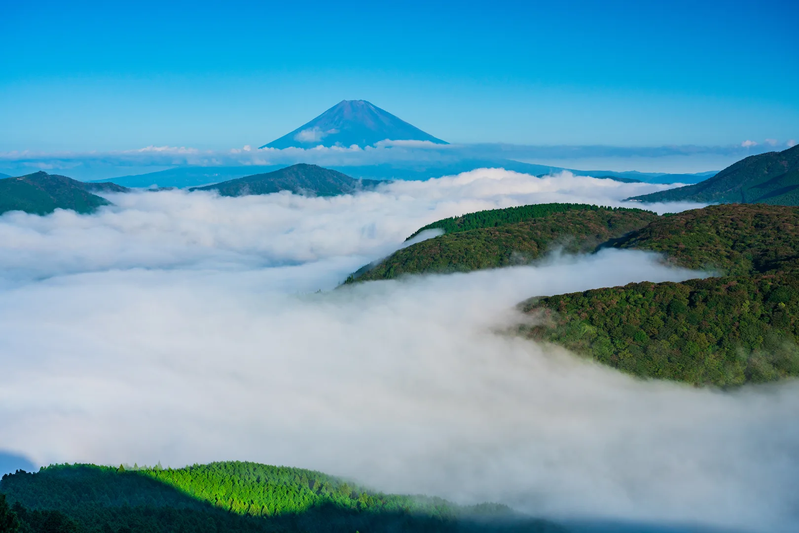 PIXTAより「大観山から望む大雲海と富士山」