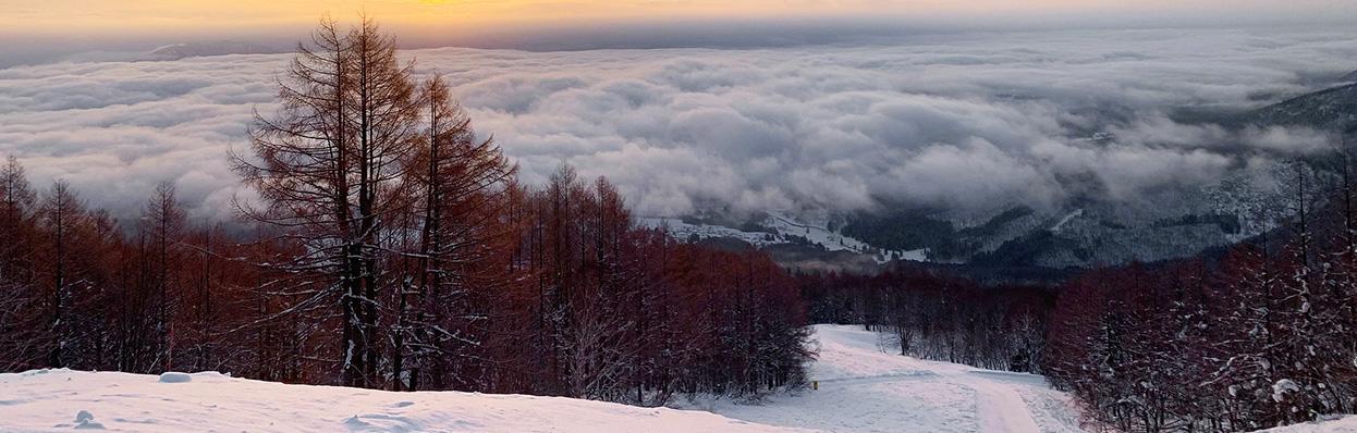 プリンスで滑る冬の絶景
